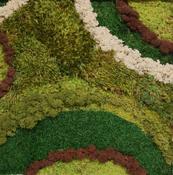 Earthland 2