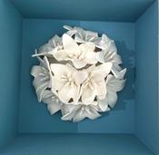 Box Bouquet image