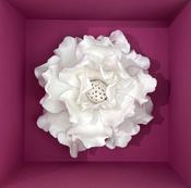 Box Bouquet image