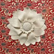 Rosette image