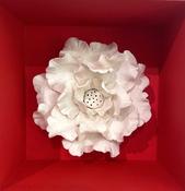 Box Bouquet image