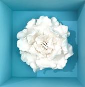 Box Bouquet image