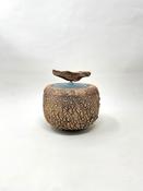 Earth Jar with Blue Lid image