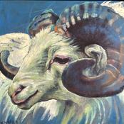 Ram