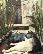 Shady Spot