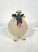 Sheep (med)