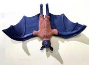 Bat