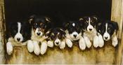Millhouse Brothers limited edition print