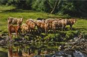 By the Banks of the Slaney limited edition print