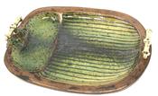 Green Scarab Platter