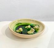 Frog Bowl (M)