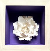 Box Bouquet