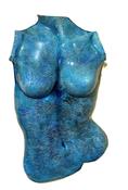 Torso Blue Front
