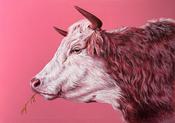Bubblegum Bovine