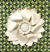 Rosette Green