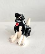 B&amp;amp;W Dog