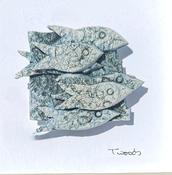Framed Shoal (xs)