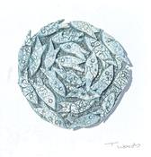 Framed Shoal (m)