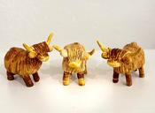 Highland Cow
