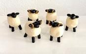 Small Sheep