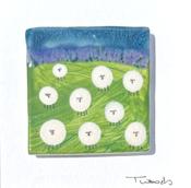 Framed Sheep (xs)