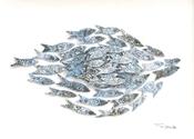 Fish Shoal (l)