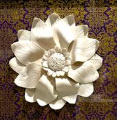 Rosette Purple/Gold