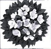 Experimental Botanical