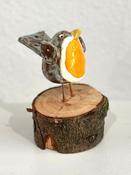 Robin on wood