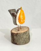 Robin on wood
