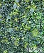 Artificial Hedge - Living Wall Plain - 1m x 1m image