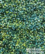 Artificial "Summer" Box Hedge Panel - 100cm x 100cm image