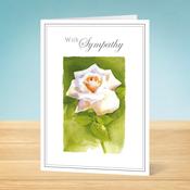 Sympathy Card <br /> White Rose image