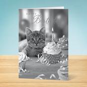 Birthday Card <br /> Cat with Cake image