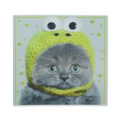 A Splash Of Colour-3D Cards  Cat Blank image