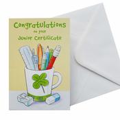 Congratulations Card <br /> Junior Certificate image