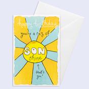 Higgledy Piggledy<br /> Son Birthday image
