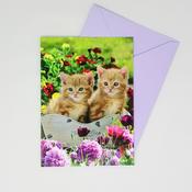 Just to Say Blank Card Kittens image