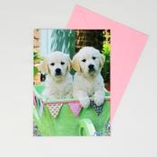 Just to Say Blank Card Cute Puppies image
