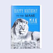 Jibber Jabber <br /> Mane Man image