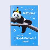 Jibber Jabber <br /> Let the Panda-monium begin! image