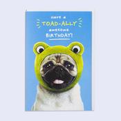 Jibber Jabber <br /> Toad-ally Awesome