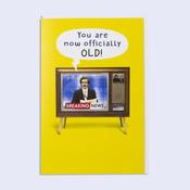 Jibber Jabber <br /> Officially Old. image