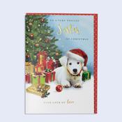 Snowflakes &amp;amp; Snowdrops <br /> Christmas Card <br /> Sister image