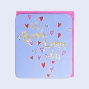 Valentines Day <br /> Is Breá Liom tú image