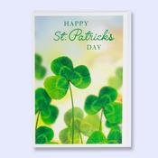 St. Patricks Day <br /> Shamrock image