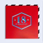 Vibrant  18 &amp;amp; brilliant ! image