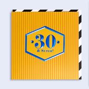 Vibrant <br /> 30 &amp;amp; Super image