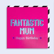 Vibrant <br /> Fantastic Mum