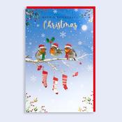 Christmas card  <br /> Wonderful Christmas image